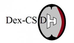 Dex-CSDH Logo