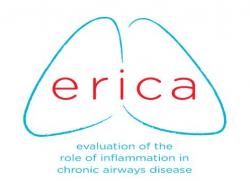 ERICA Logo
