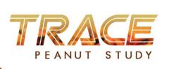 TRACE Logo