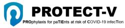 protect-v logo
